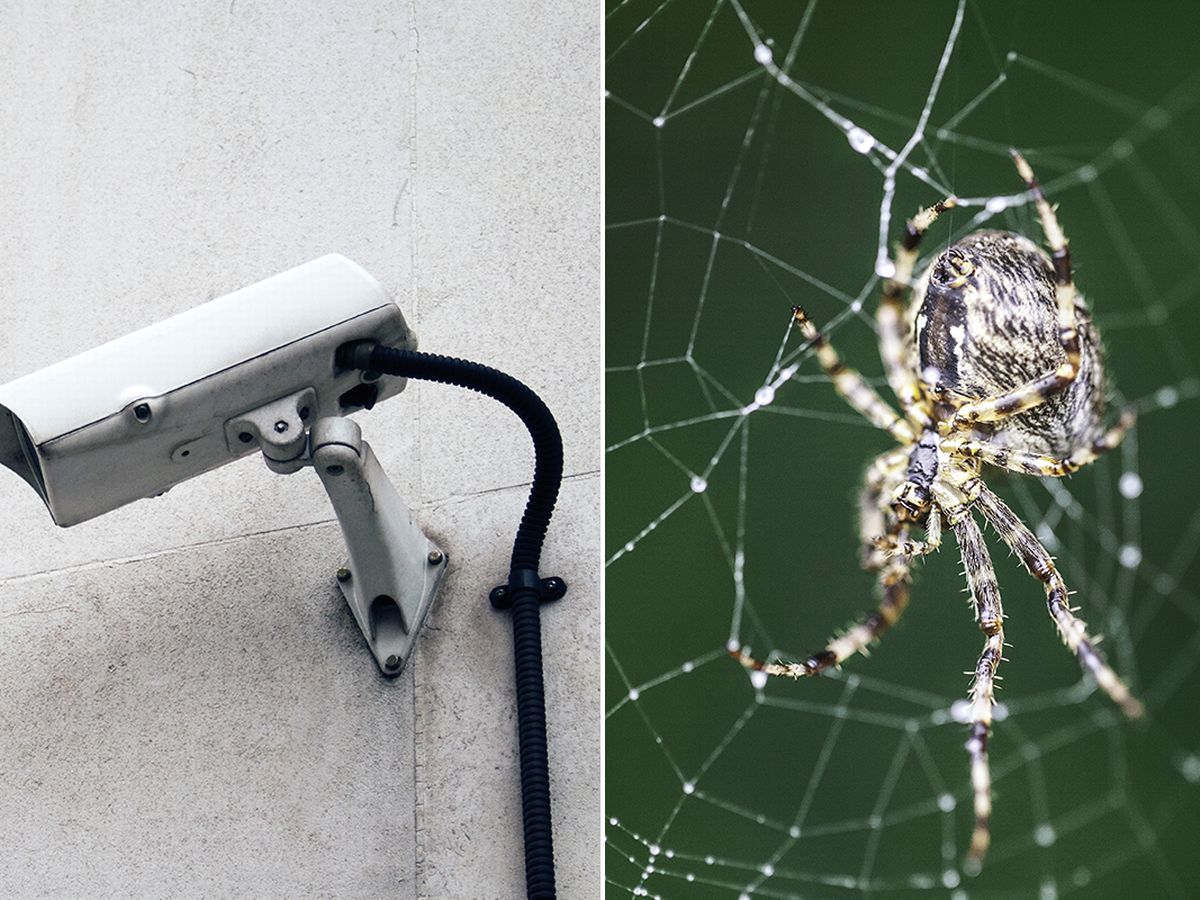 Как защитить камеру видеонаблюдения от насекомых и паутины?