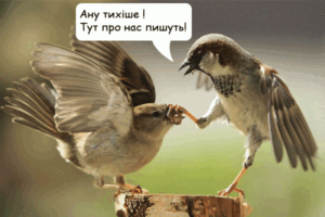12 віршів про птахів