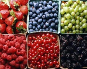 Лісові ягоди: 15 різних назв
