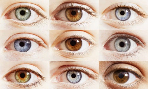 Які бувають типи та форми очей