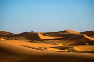 Пустелі світу: 10 цікавих фактів