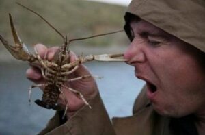 Значення та походження фразеологізму «пекти раків»