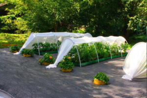 Агроволокно: як вибрати і де застосовувати